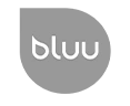 Logo Bluuwash
